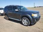 2009 FORD ESCAPE XLT for sale at Copart AB - CALGARY