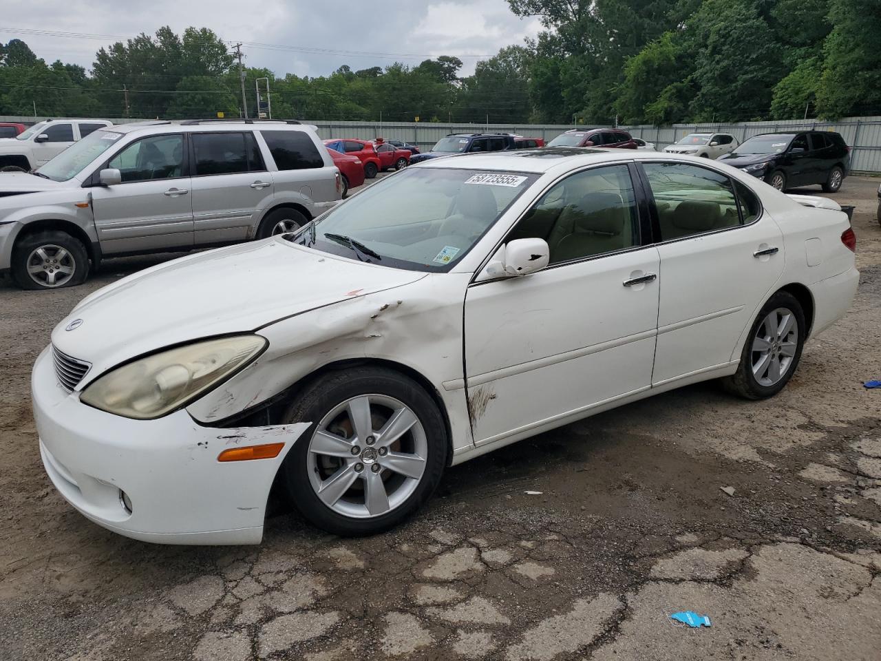 2005 Lexus Es 330 for Sale in Shreveport, LA - Front End