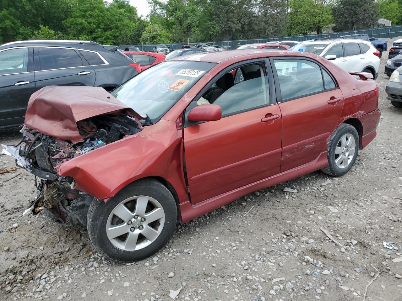 2008 Toyota Corolla Ce zu verkaufen in Madisonville, TN - Biohazard/Chemical
