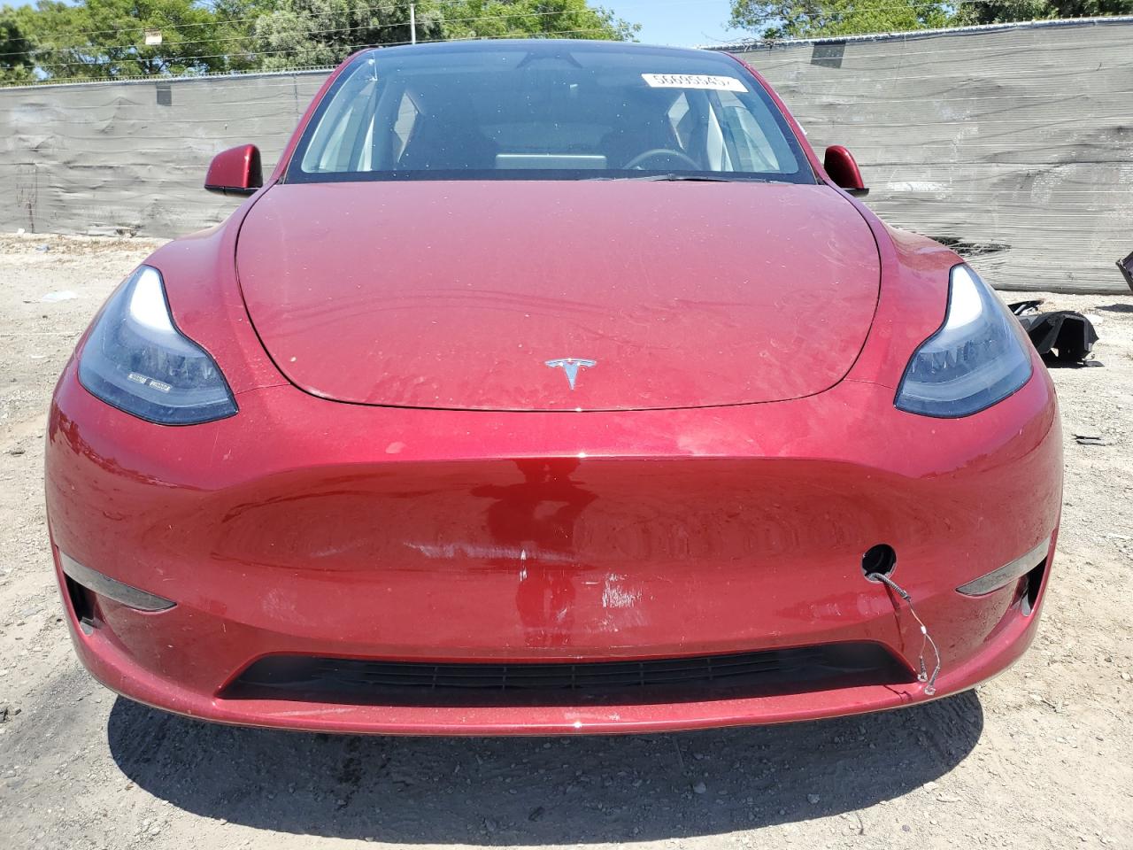 2024 Tesla Model Y VIN: 7SAYGDEE8RA233147 Lot: 56695545