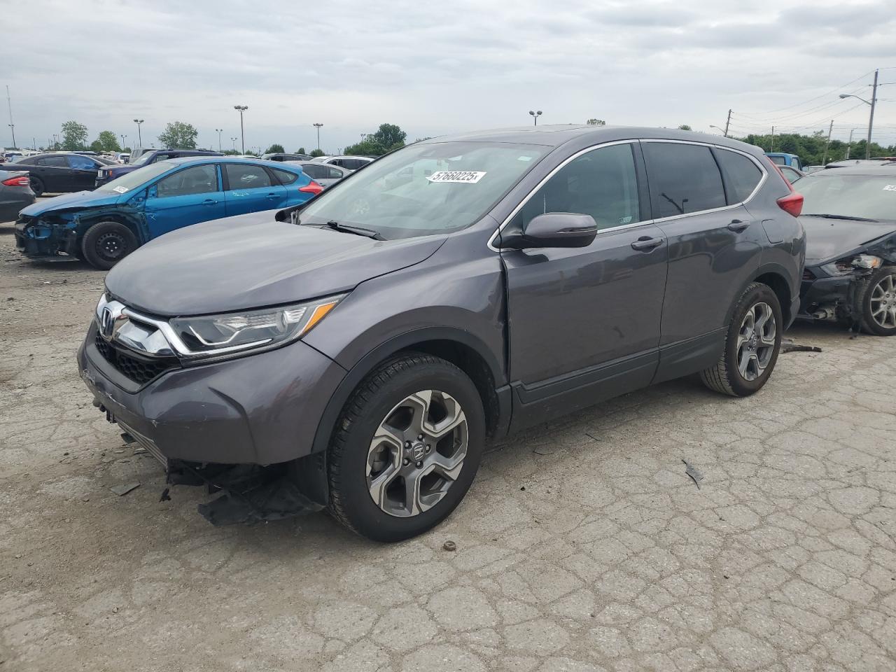 2019 Honda Cr-V Ex zu verkaufen in Indianapolis, IN - Front End