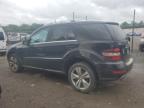 2010 Mercedes-Benz Ml 350 4Matic იყიდება Baltimore-ში, MD - Normal Wear