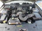 2010 Ford Mustang    na sprzedaż w Lumberton, NC - Rear End