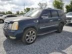 2007 Cadillac Escalade Luxury продається в Riverview, FL - Front End