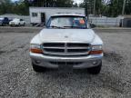 2001 Dodge Dakota Quad იყიდება Graham-ში, WA - Vandalism