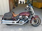 2023 Indian Motorcycle Co. Scout Abs للبيع في Temple، TX - Front End