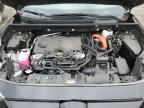 2025 TOYOTA RAV4 XLE for sale at Copart ON - TORONTO