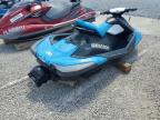 2016 'Other Jetski' Jetski на продаже в Arcadia, FL - Normal Wear