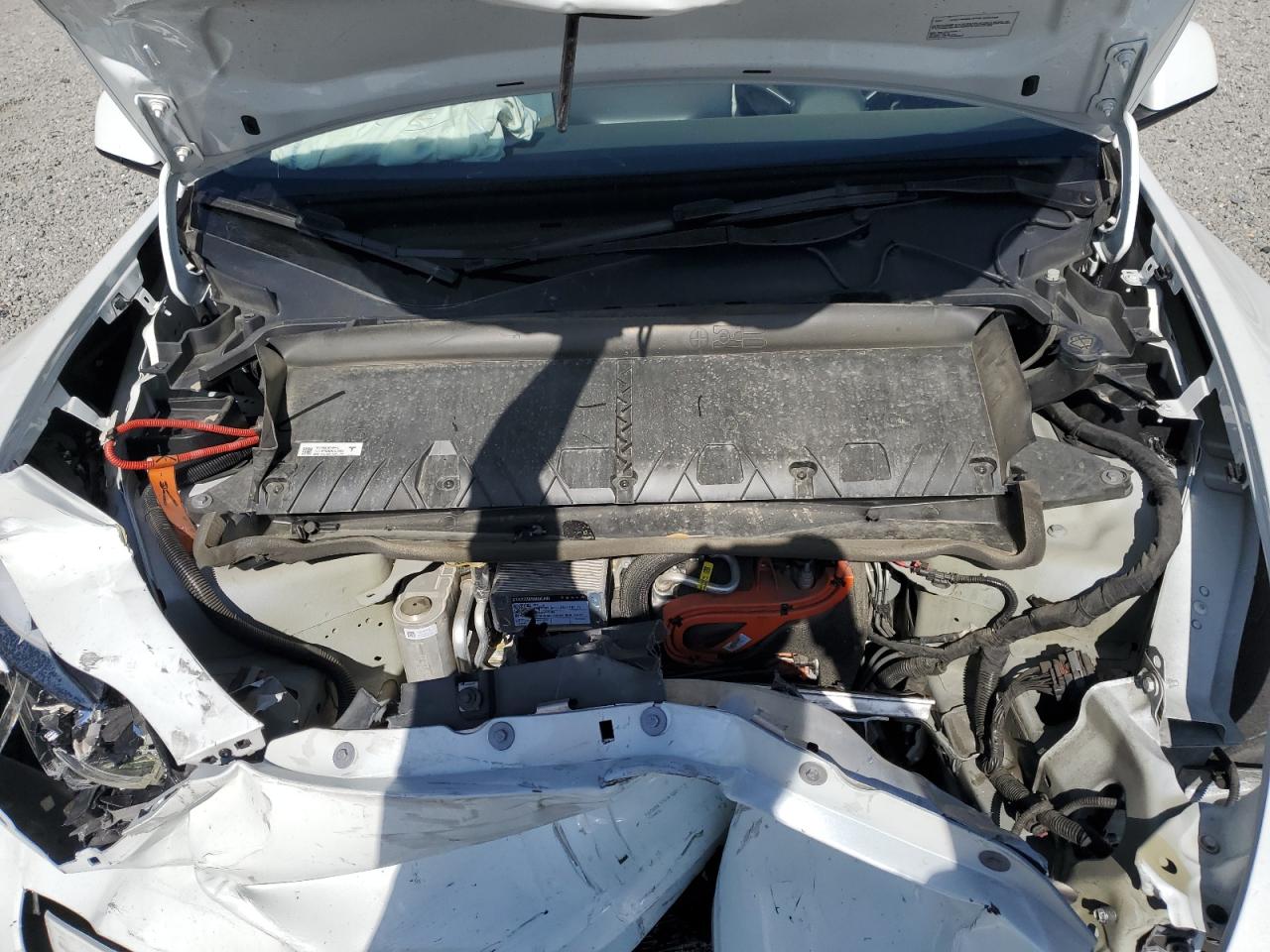 2023 Tesla Model Y VIN: 7SAYGDEE2PA184427 Lot: 57075355