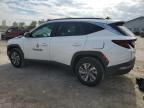 2024 Hyundai Tucson Blue for Sale in Pekin, IL - Front End
