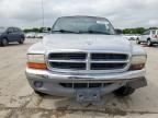1998 Dodge Dakota  zu verkaufen in Grand Prairie, TX - Front End