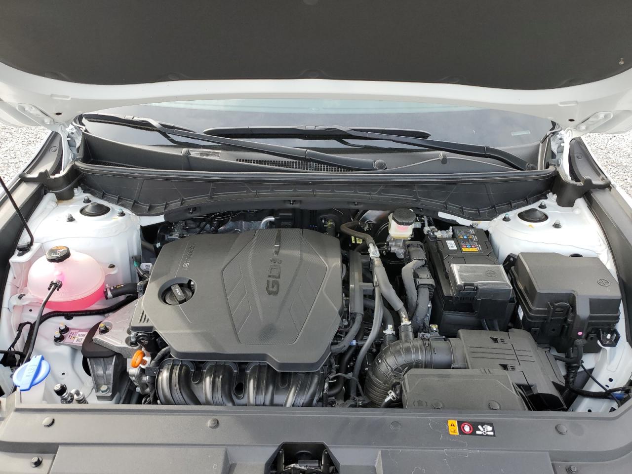 2024 Hyundai Santa Cruz Sel VIN: 5NTJBDDE5RH103900 Lot: 56158155