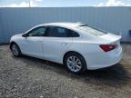 2023 Chevrolet Malibu Lt na sprzedaż w Riverview, FL - Front End
