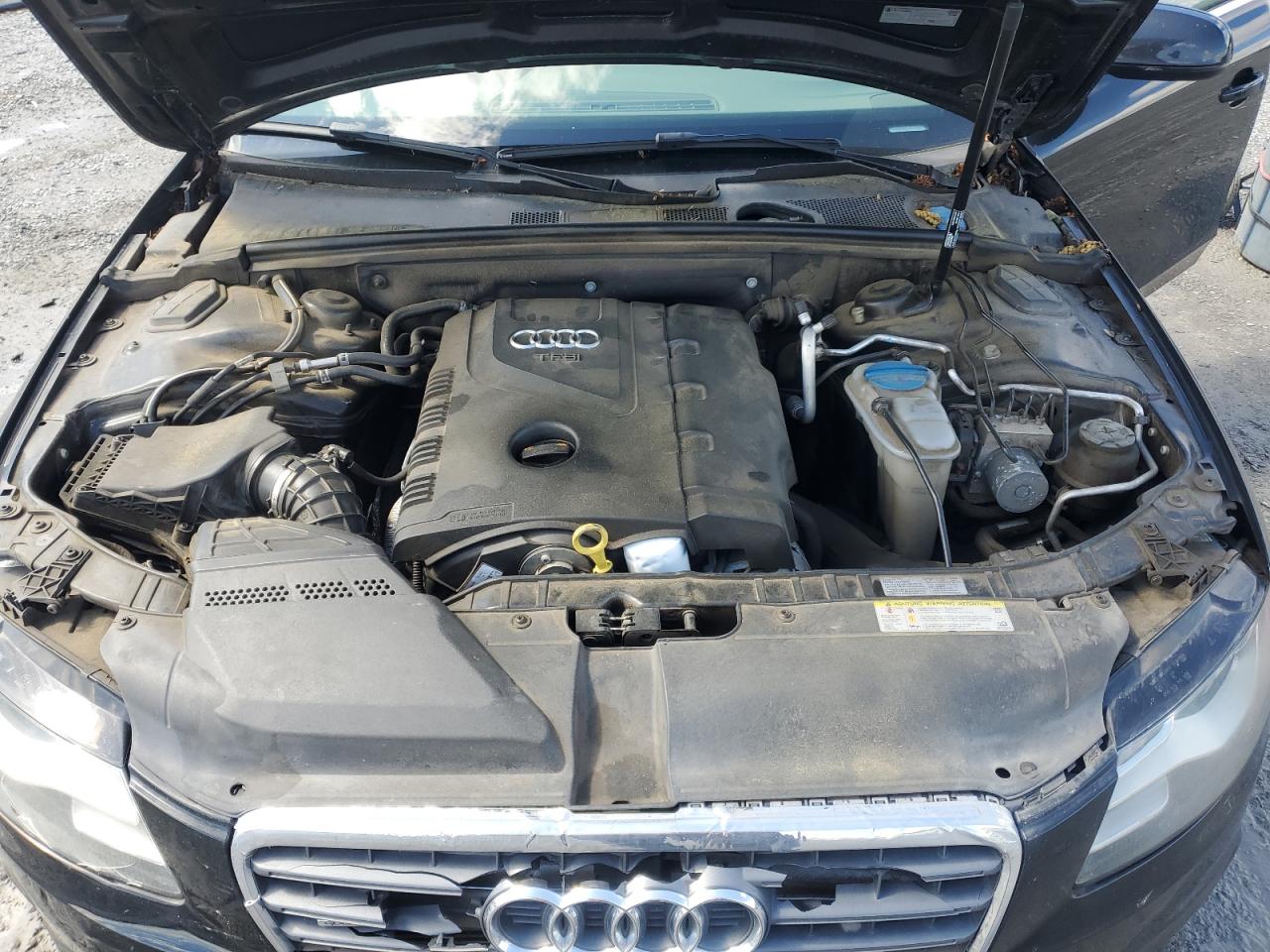 2012 Audi A4 Premium VIN: WAUSFAFLXCA113898 Lot: 56953345