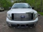 2010 Ford F150 Supercrew for Sale in Cookstown, ON - Rear End