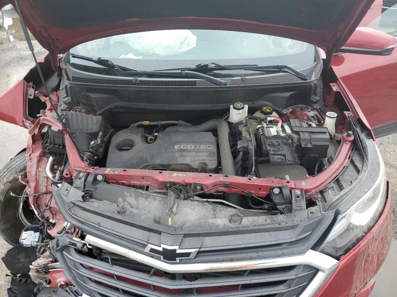 2019 Chevrolet Equinox Lt VIN: 3GNAXTEV4KS659269 Lot: 56706915