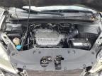 2006 Honda Odyssey Exl იყიდება Apopka-ში, FL - Front End