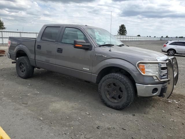 Пикапы FORD F-150 2013 Серый