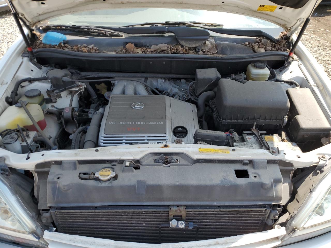 2002 Lexus Rx 300 VIN: JTJHF10UX20283503 Lot: 56414055