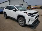 2024 TOYOTA RAV4 XLE à vendre chez Copart ON - TORONTO