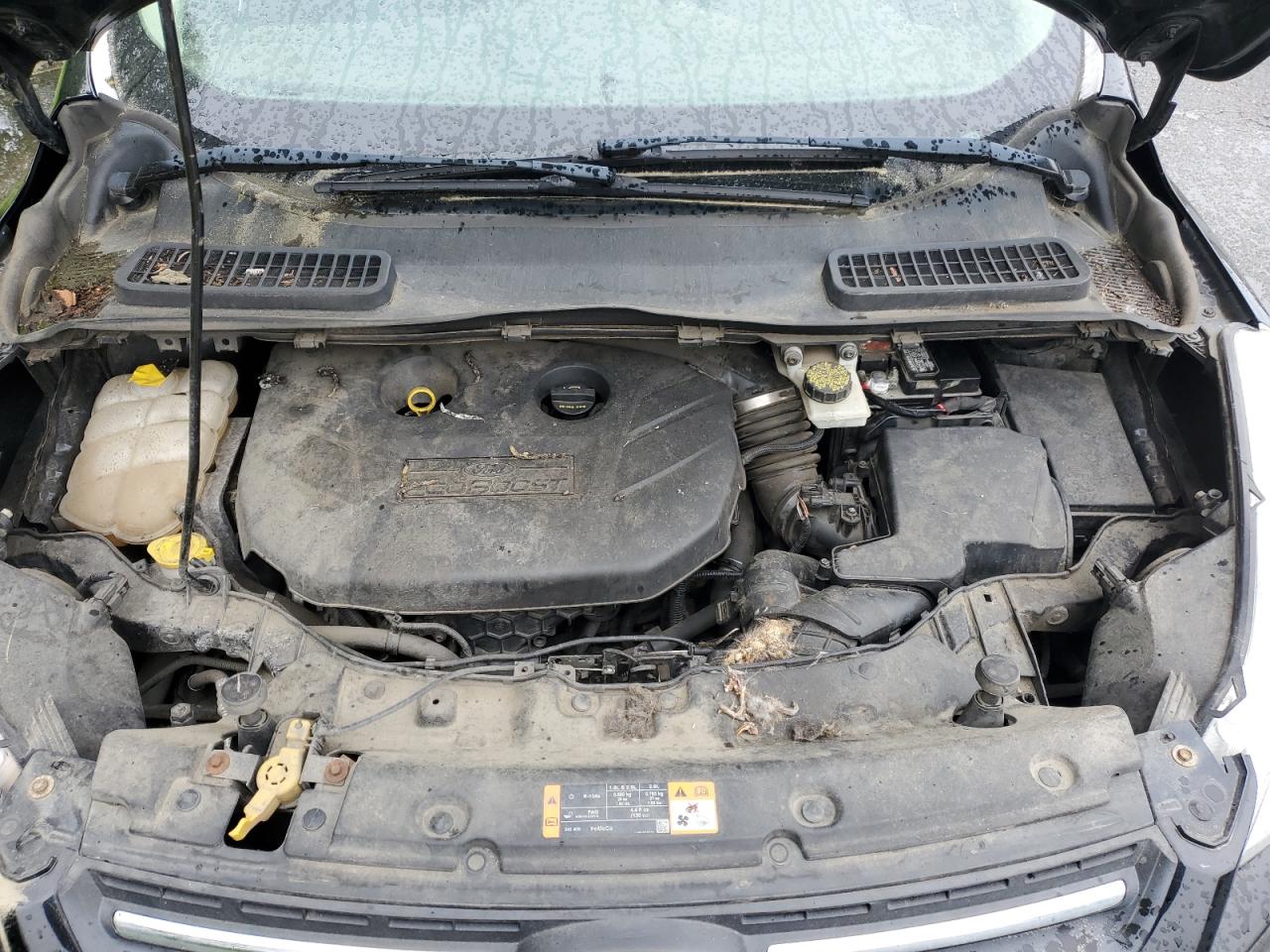 2013 Ford Escape Se VIN: 1FMCU9G99DUD80489 Lot: 57187645