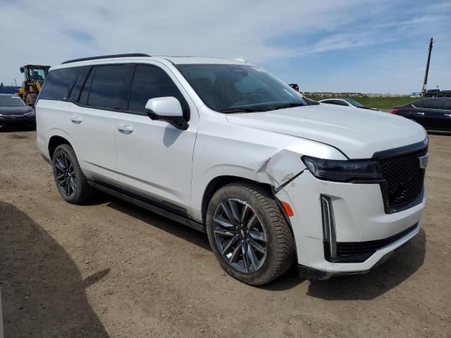  CADILLAC ESCALADE 2024 White
