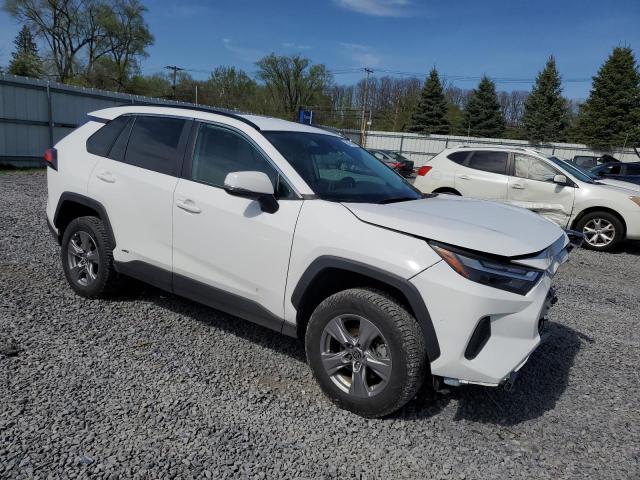  TOYOTA RAV4 2024 Белы