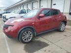 2011 Nissan Juke S   продається в Louisville, KY - Rear End