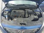 2017 Hyundai Sonata Sport იყიდება Prairie Grove-ში, AR - Rear End