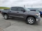 2018 Toyota Tundra Crewmax Sr5   for Sale in Littleton, CO - Rear End