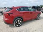2020 Lexus Nx 300 en Venta en Houston, TX - Front End
