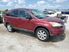 2010 Honda Cr-V Ex للبيع في West Palm Beach، FL - Water/Flood