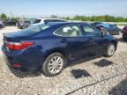 2014 Lexus Es 300H de vânzare în Wayland, MI - Front End