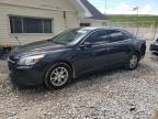 2014 CHEVROLET MALIBU LS   à vendre chez Copart OH - CLEVELAND EAST