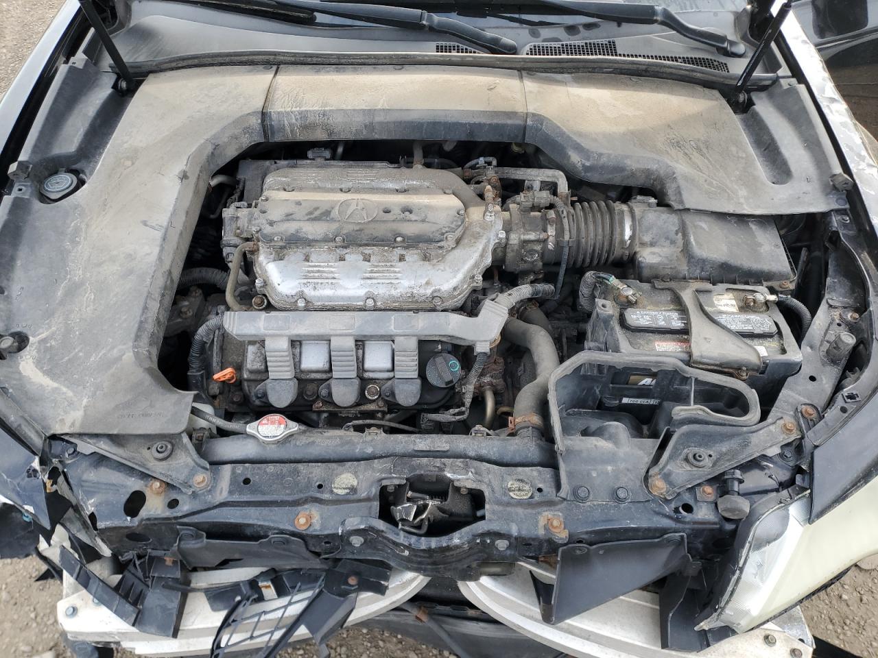 2009 Acura Tl VIN: 19UUA96529A800927 Lot: 54414335