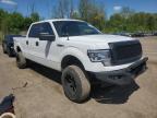 2013 Ford F150 Supercrew for Sale in Davison, MI - Rear End