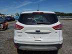 Lumberton, NC에서 판매 중인 2015 Ford Escape Se   - Front End