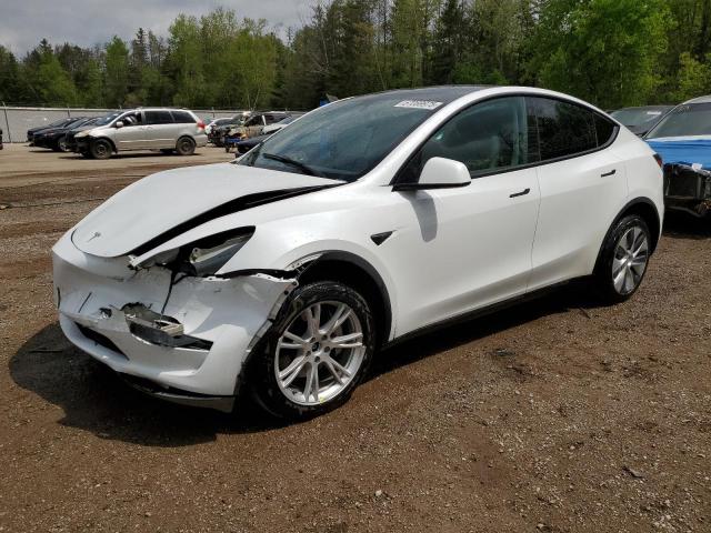  TESLA MODEL Y 2023 White