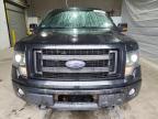 Candia, NH에서 판매 중인 2013 Ford F150 Supercrew - Normal Wear