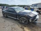 2009 Ford Mustang Shelby Gt500 for Sale in Florence, MS - All Over