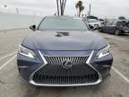 2023 Lexus Es 350 Base for Sale in Van Nuys, CA - Rear End