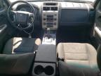 2010 Ford Escape Xlt for Sale in Rogersville, MO - Front End
