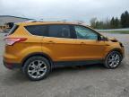 2016 Ford Escape Titanium იყიდება Leroy-ში, NY - Front End
