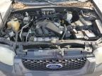 2007 Ford Escape Xlt იყიდება Littleton-ში, CO - Rear End