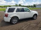 2012 Ford Escape Limited for Sale in Columbia Station, OH - Rear End