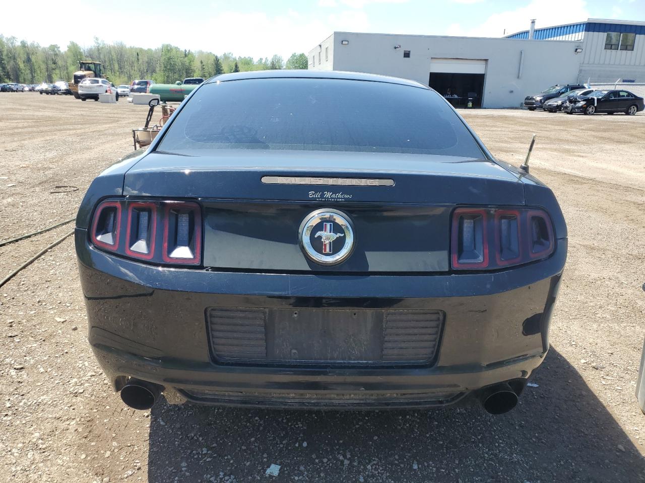 2014 Ford Mustang VIN: 1ZVBP8AM4E5213982 Lot: 55425525