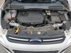 Littleton, CO에서 판매 중인 2014 Ford Escape Se - Front End