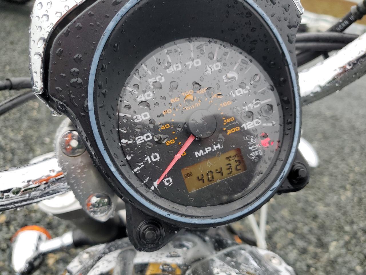 2005 Suzuki M50 Bk5 VIN: JS1VS56A052101509 Lot: 56389935