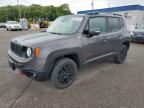 2018 Jeep Renegade Trailhawk იყიდება Ham Lake-ში, MN - Hail