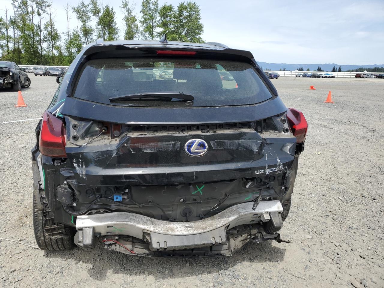 2020 Lexus Ux 250H VIN: JTHP9JBH6L2032942 Lot: 56675505